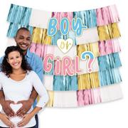 Boy or Girl? Fringe Banner Backdrop with Cutouts, 5ft x 4.8ft - The Big Reveal