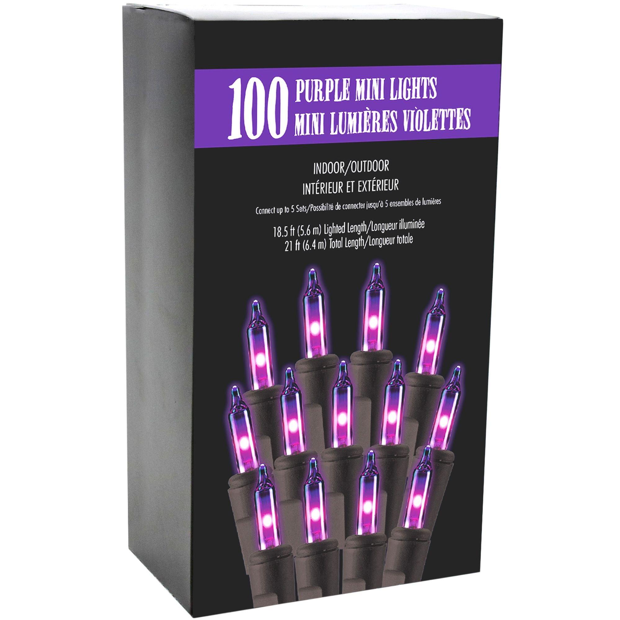 Purple Incandescent Plastic String Lights, Bulbs, 21ft |