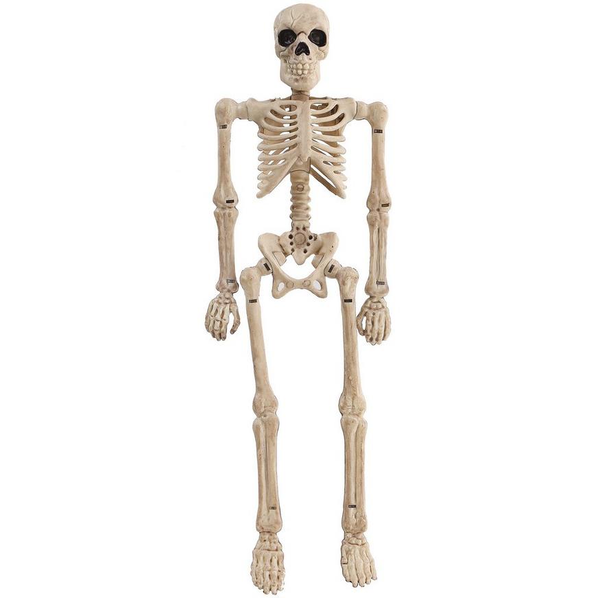 Miniature Poseable Skeleton, 8in