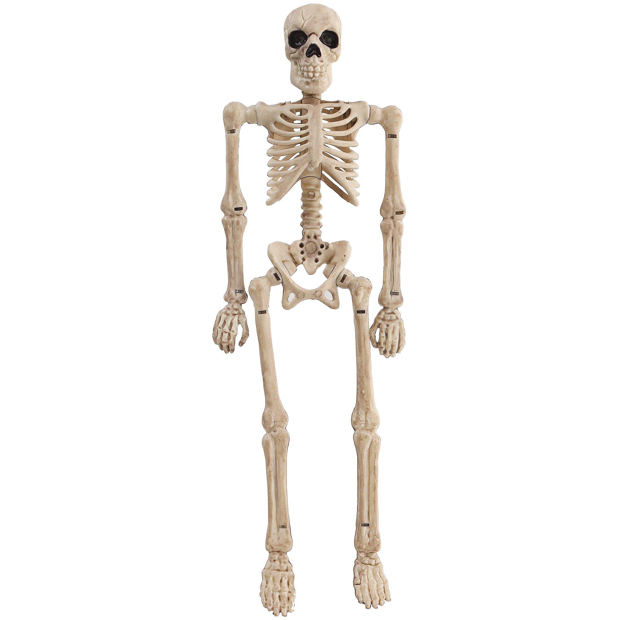 Halloween Movable Skeleton Human Model Skull Full Body Mini Figure Toy