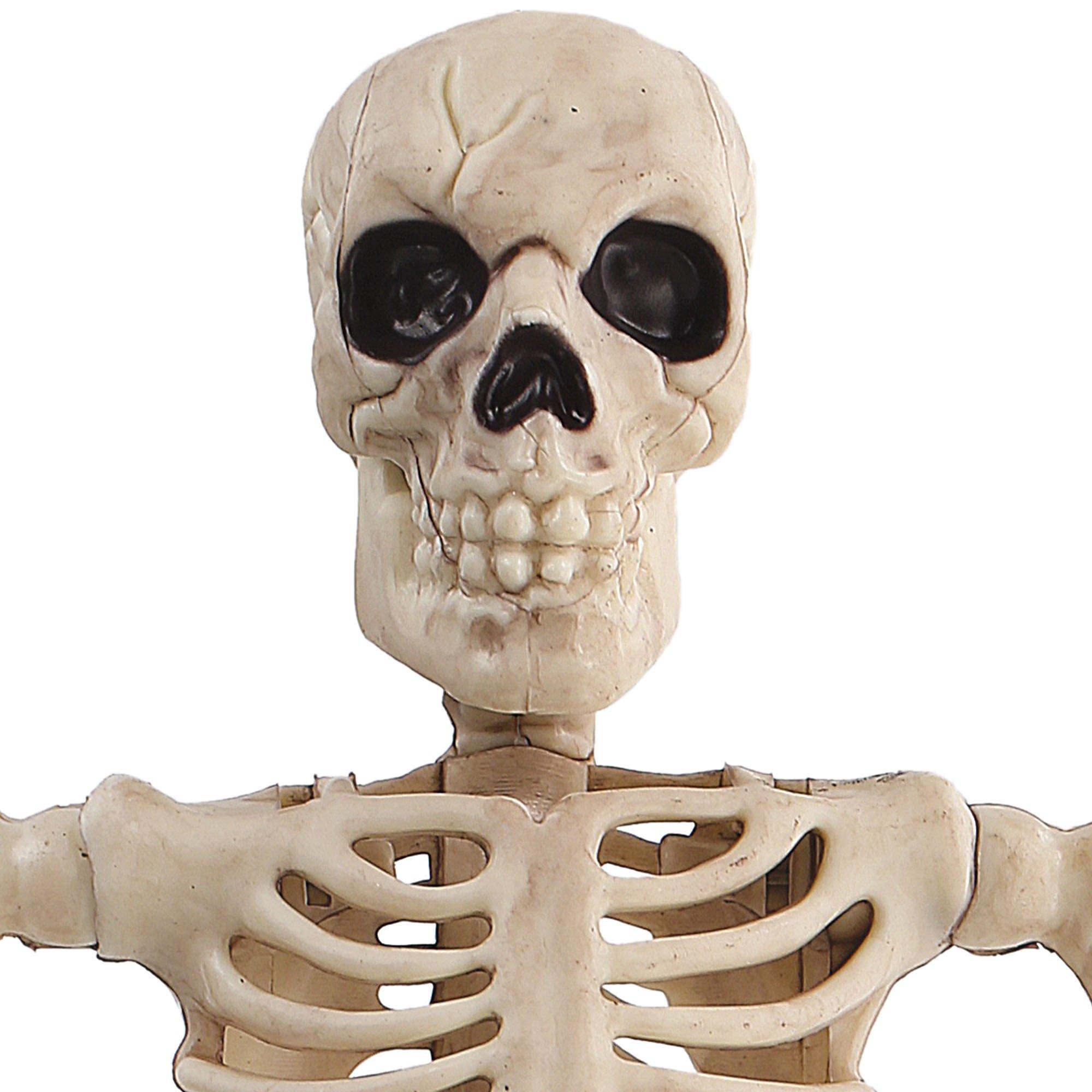 Halloween Movable Skeleton Human Model Skull Full Body Mini Figure Toy