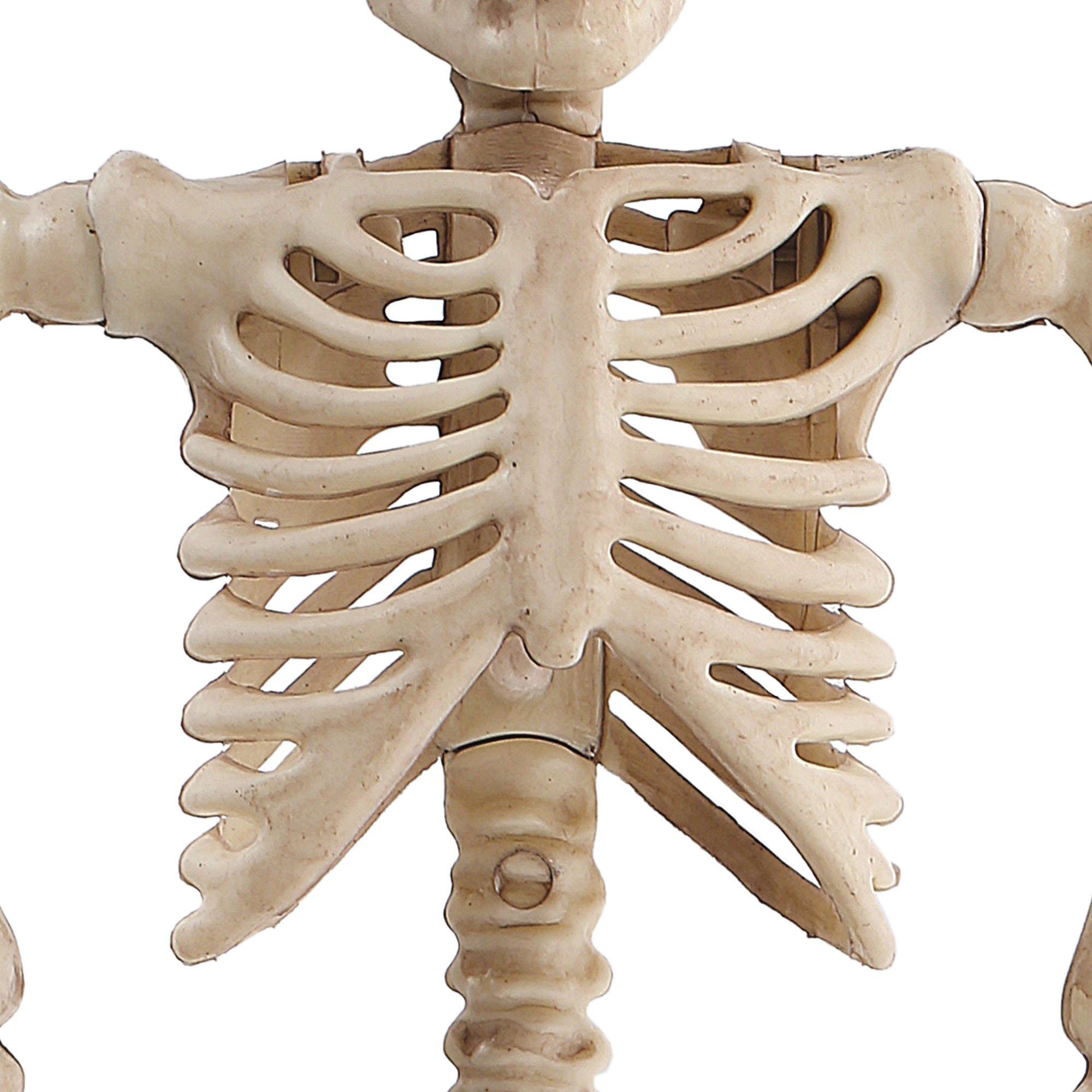 Super Articulated Type S 8 inch Skeleton Action Figure