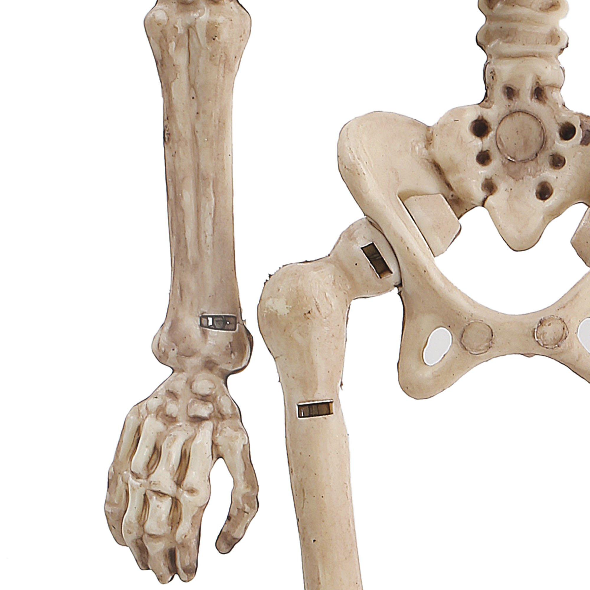 Miniature Poseable Skeleton, 8in