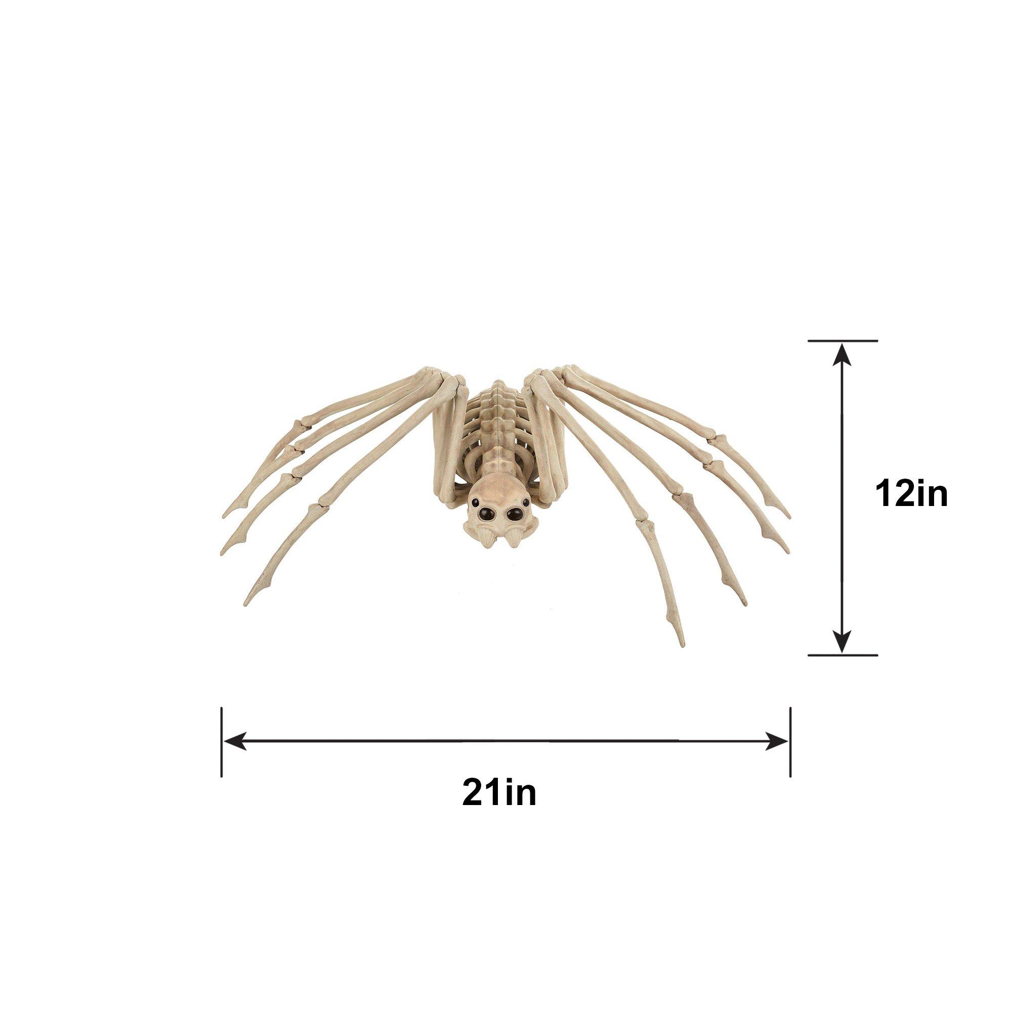 Skeleton Spider Decoration, 21in x 12in