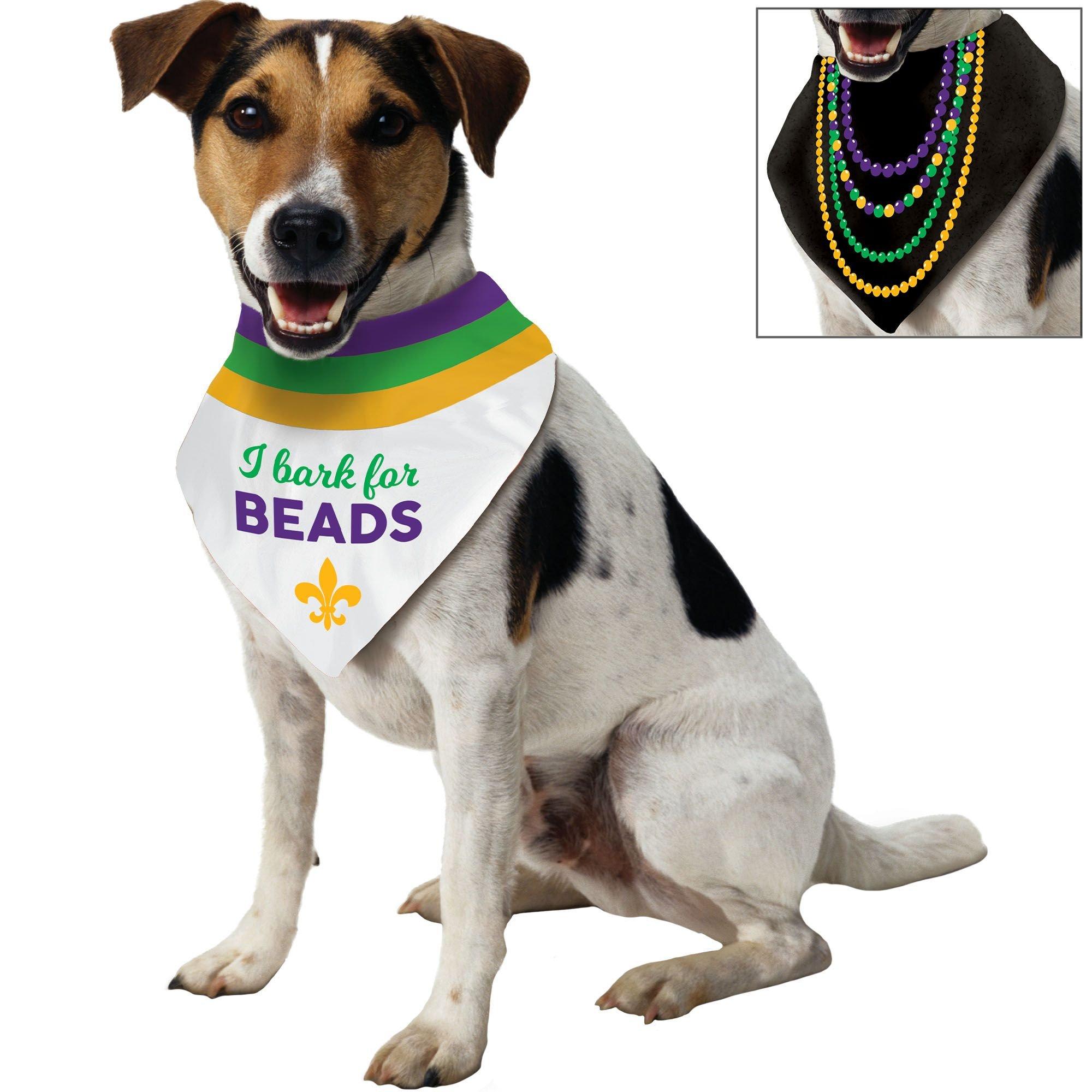 Dog mardi 2024 gras outfit