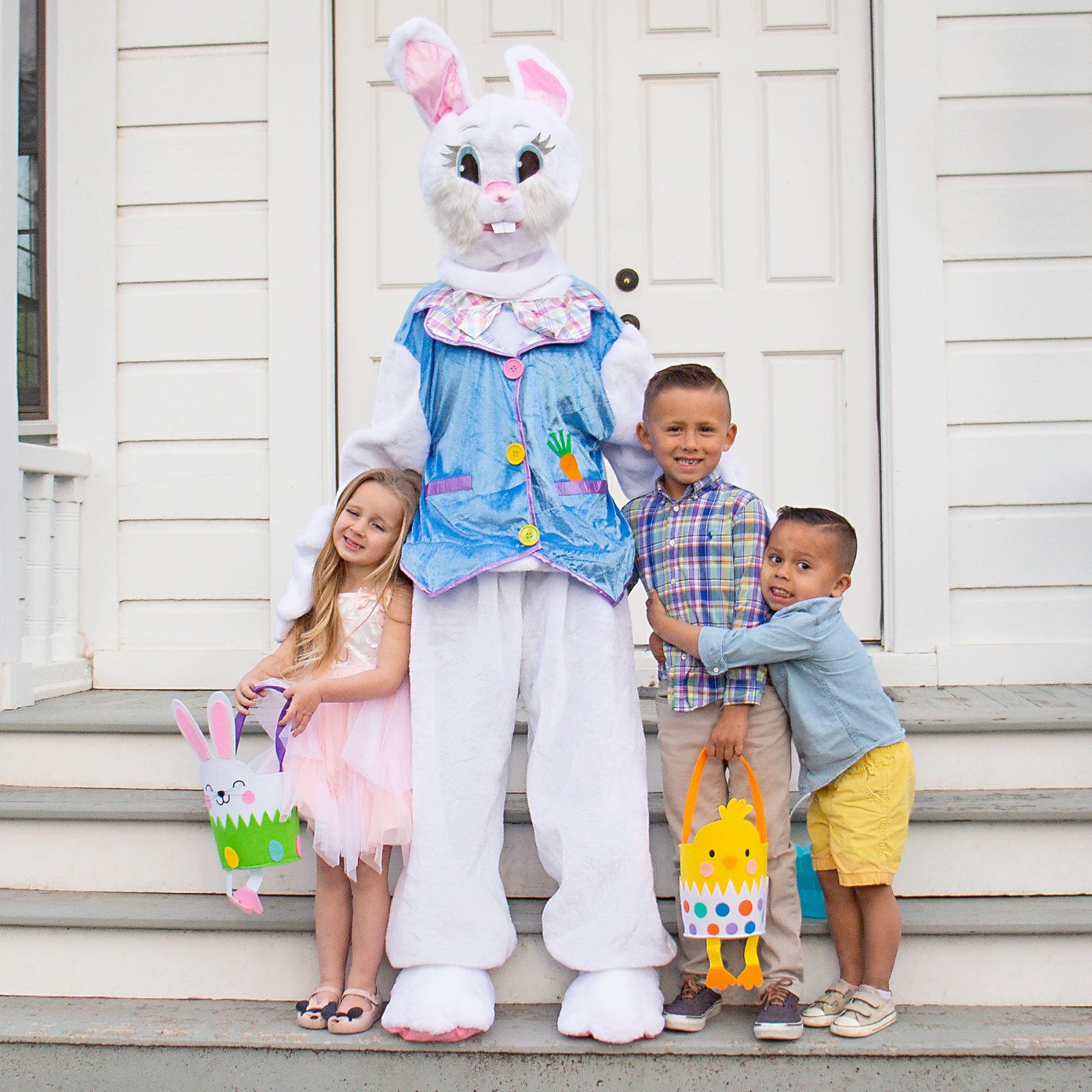 Adult Deluxe Easter Bunny Costume