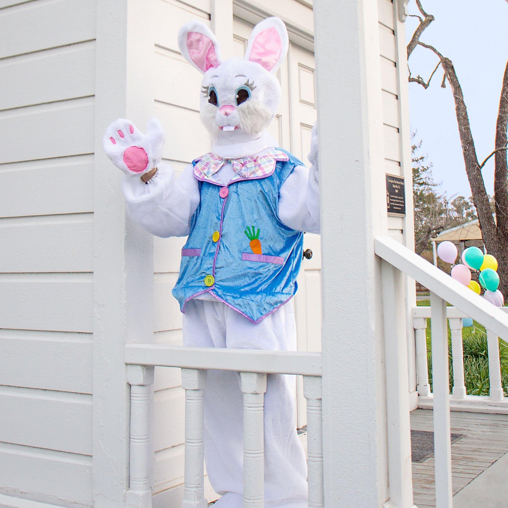 Adult Deluxe Easter Bunny Costume with Headpiece