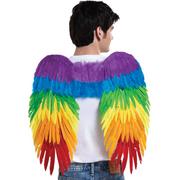 Rainbow Feather Wings, 15in