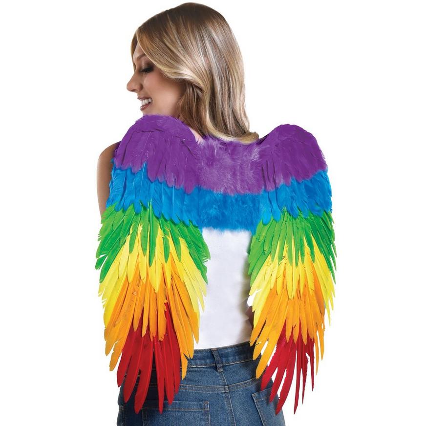 Rainbow Feather Wings, 15in