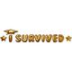 Metallic Gold I Survived Graduation Wall Decal, 23.5in