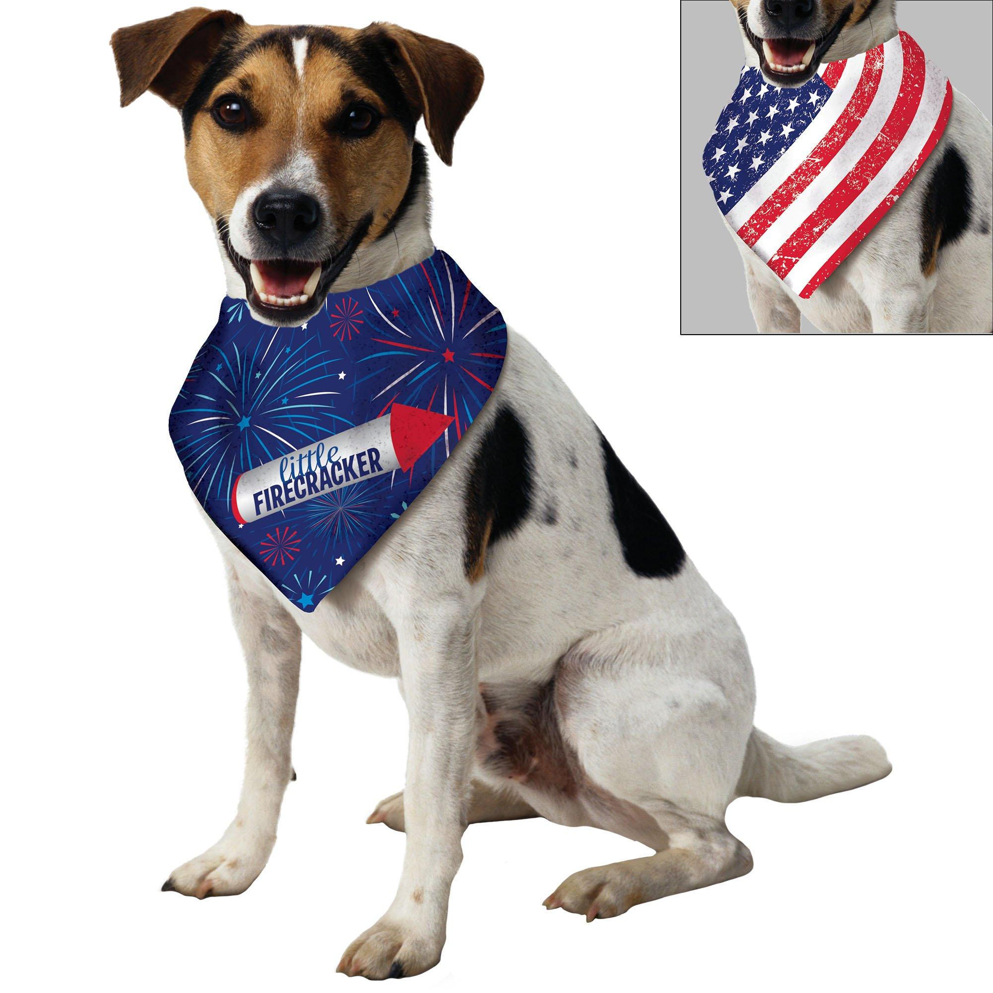 Fourth of shop july dog bandana