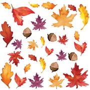Fall Leaves Cardstock Cutouts, 30pc