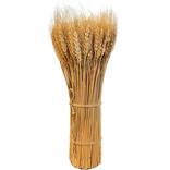 Dried Wheat Bundle Decoration, 20in