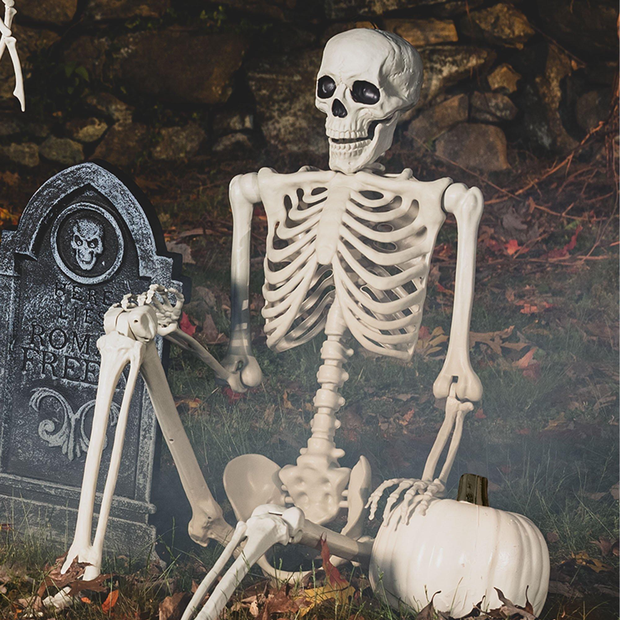 scary halloween skeleton