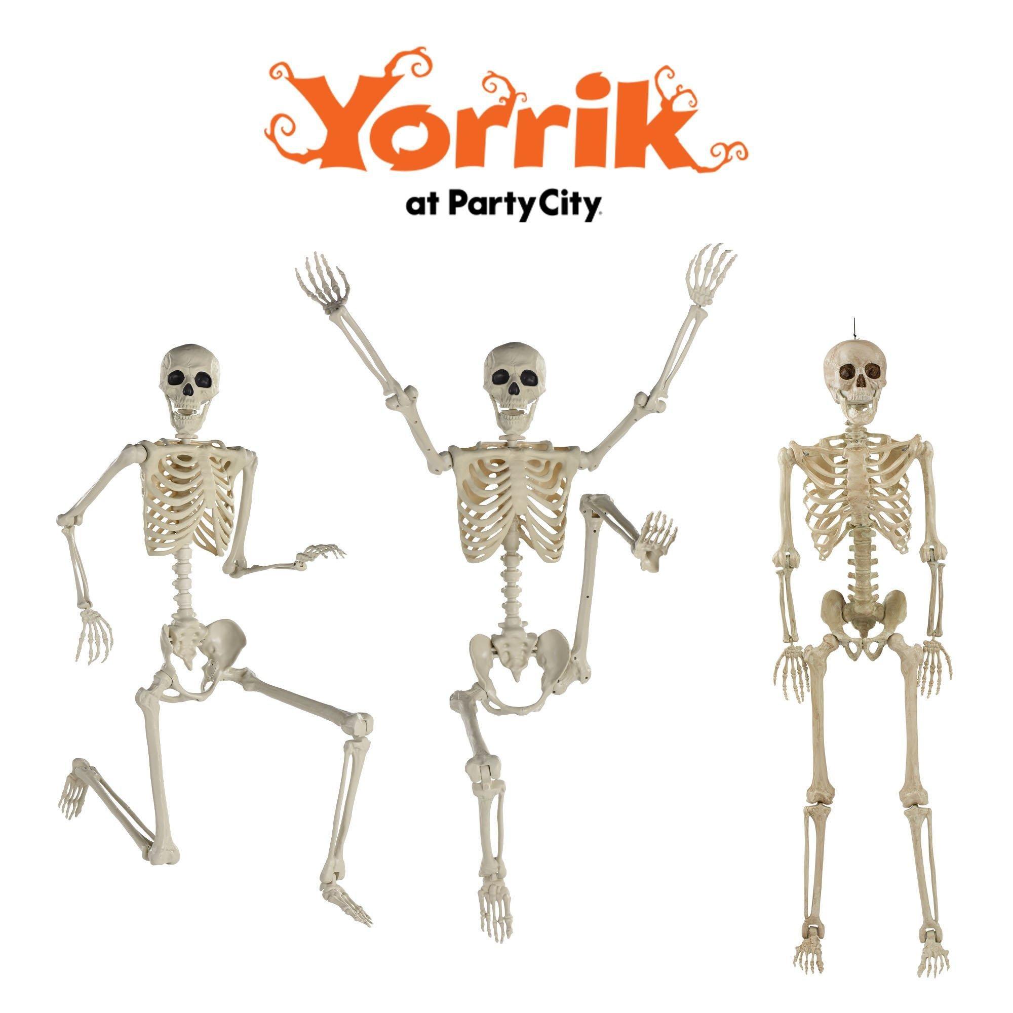 Life-Size Poseable Skeleton, 5ft | Party City