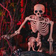 Life-Size Poseable Skeleton, 5ft - Halloween Decoration