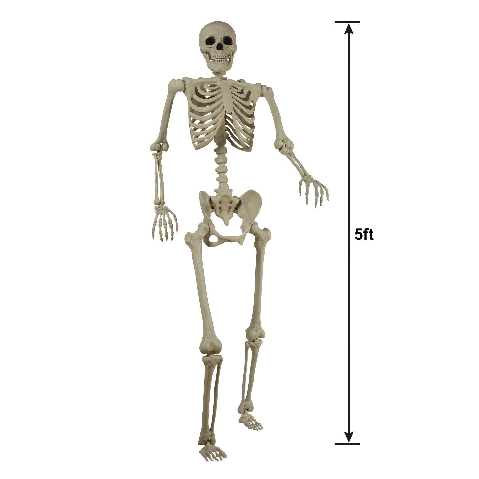 Life-Size Poseable Skeleton, 5ft - Halloween Decoration