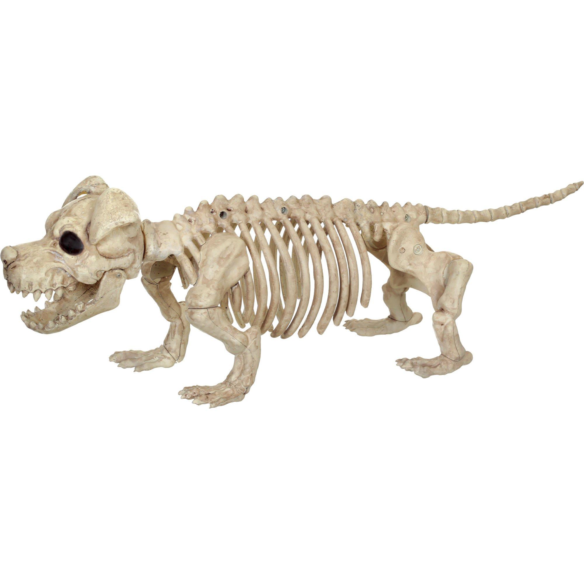 Skeleton Dog Decoration, 20in x 6.5in Party City