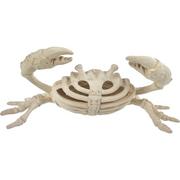 Plastic Crab Skeleton, 3.5in x 5.75in