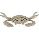 Plastic Crab Skeleton, 3.5in x 5.75in
