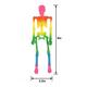 Mini Rainbow Poseable Plastic Hanging Skeleton, 8in
