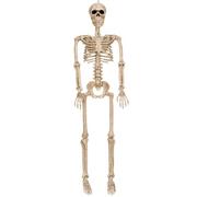 Realistic Hanging Skeleton, 3ft - Halloween Decoration