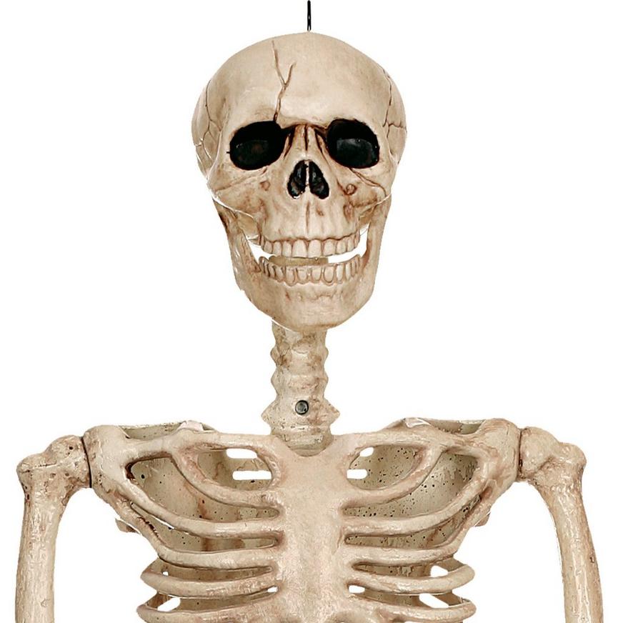 Realistic Hanging Skeleton, 3ft - Halloween Decoration