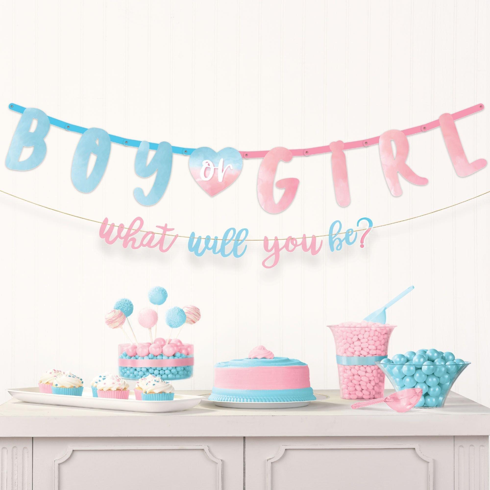 Party City Gender Reveal Party Decorations