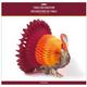 Thanksgiving Turkey Paper Honeycomb Centerpiece, 24in