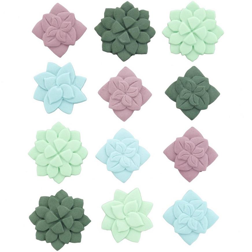 Succulent Royal Icing Decorations, 12ct
