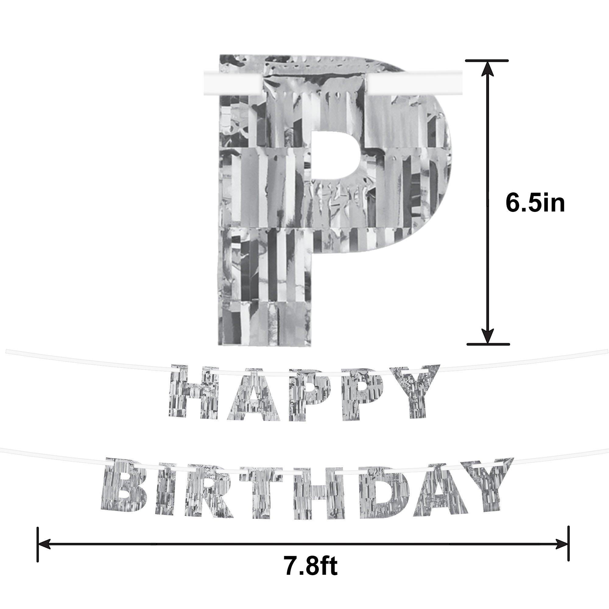 Silver Fringe Happy Birthday Banner, 7.8ft, 2ct - Sparkling Celebration
