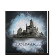 Hogwarts Paper Lunch Napkins, 6.5in, 36ct - Harry Potter