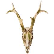 Mossy Deer Skull Resin Decoration, 11.6in x 13.2in