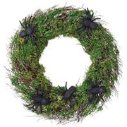 Natural Moss Spider Wreath, 18.5in