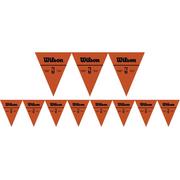 Wilson Basketball Plastic Pennant Banner, 12ft