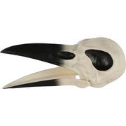Plastic Raven Skull, 3.5in x 8.75in