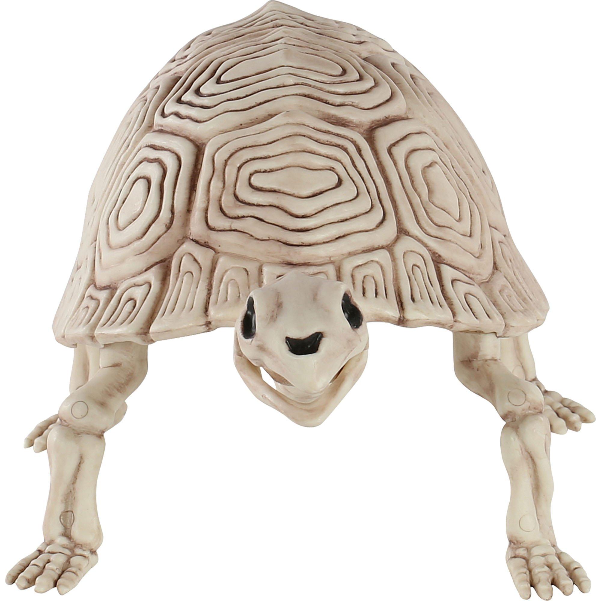 Plastic Turtle Skeleton, 7in x 14in