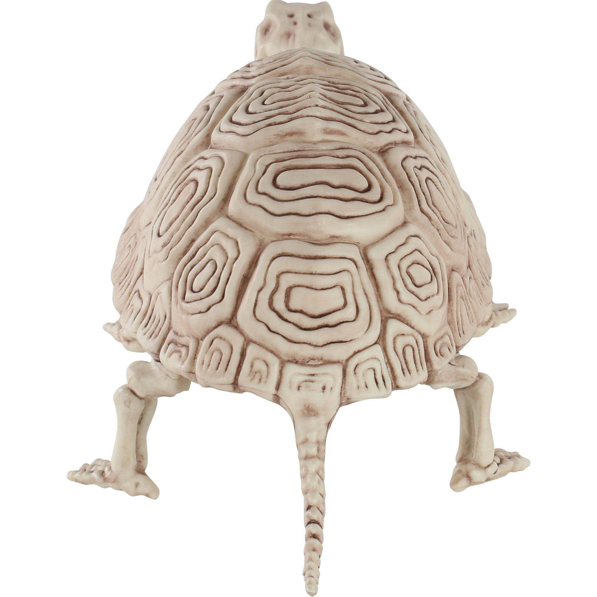 Plastic Turtle Skeleton, 7in x 14in