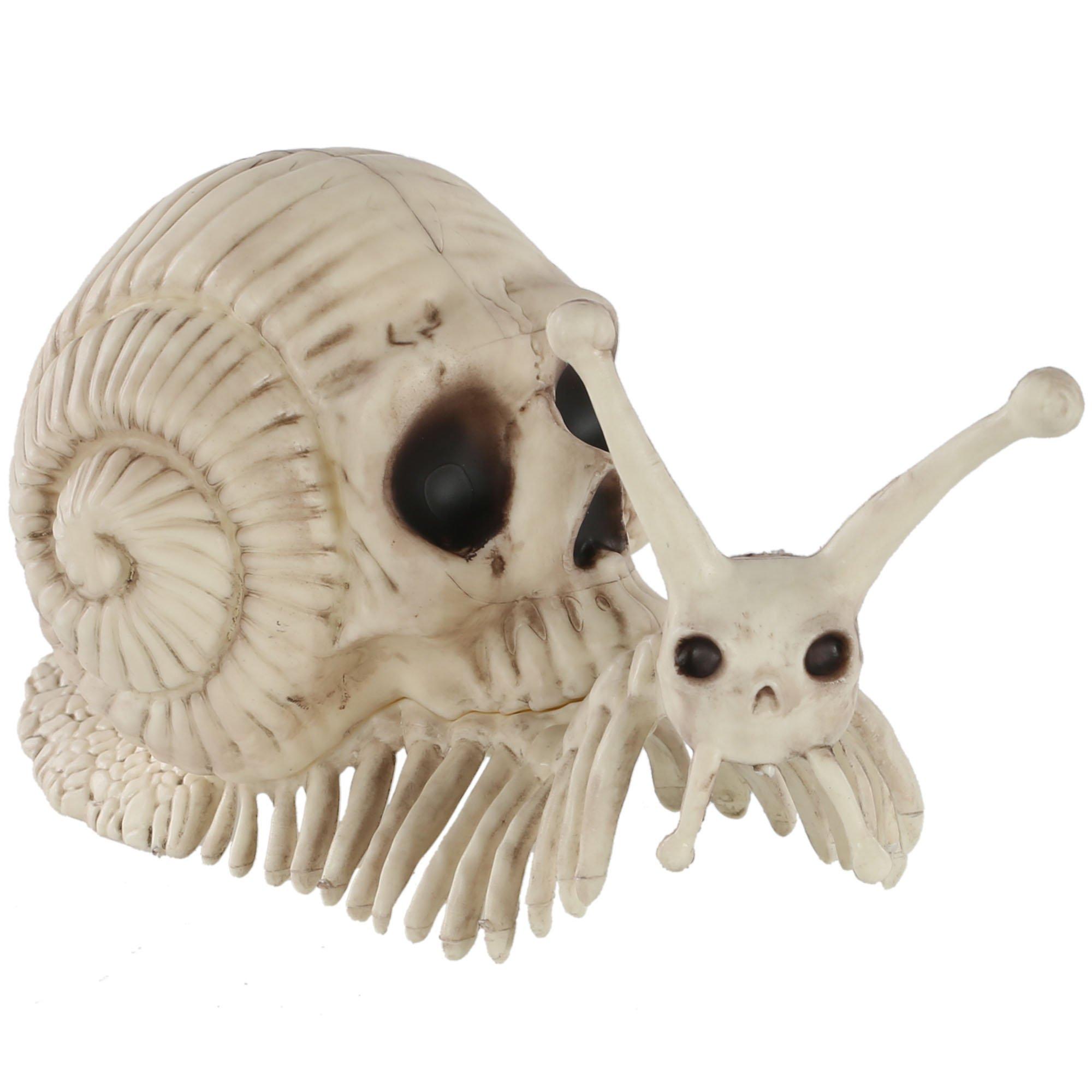 Skull Shell Plastic Snail Skeleton, 3.9in x 8.6in