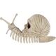 Skull Shell Plastic Snail Skeleton, 3.9in x 8.6in