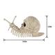 Skull Shell Plastic Snail Skeleton, 3.9in x 8.6in