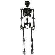 Life-Size Poseable Skeleton, Black, 5ft - Halloween Decoration