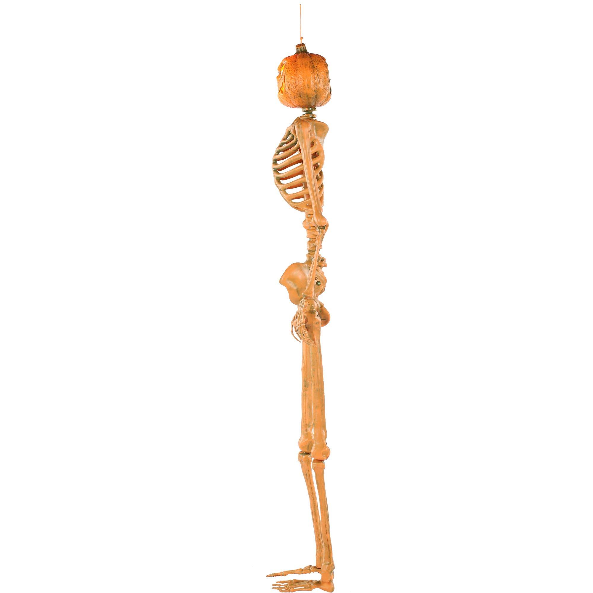 Light-Up Midnight Pumpkin LED Plastic Skeleton, 5ft