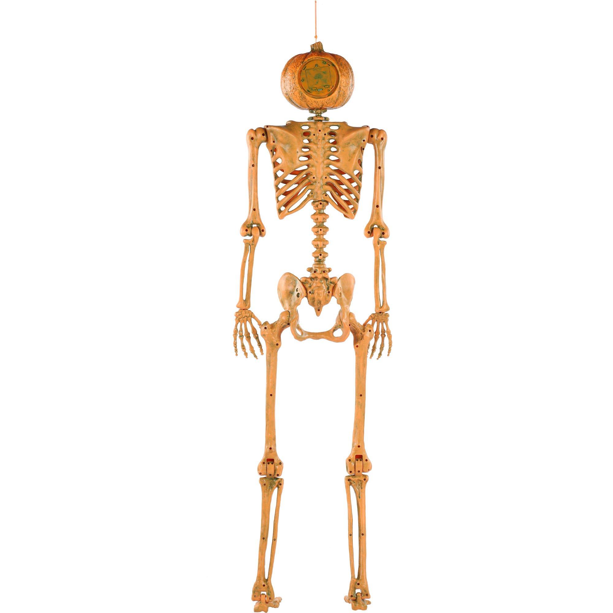 Light-Up Midnight Pumpkin LED Plastic Skeleton, 5ft