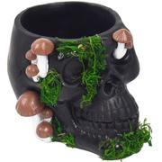Black Resin & Moss Skull & Mushroom Planter, 7.25in