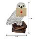 Light-Up Hedwig LED Plastic Prop, 13.8in x 18.1in - Harry Potter