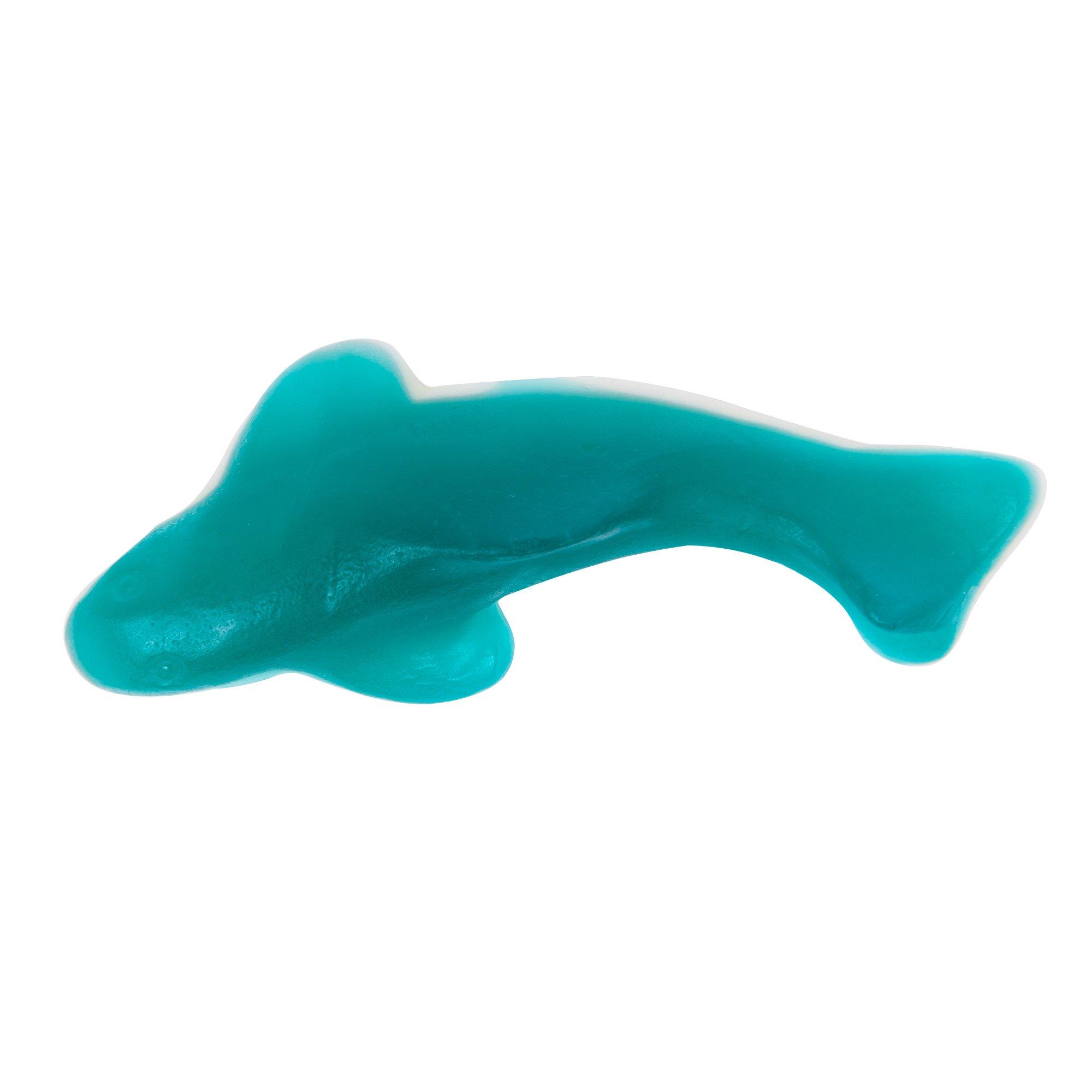 Blue deals gummy shark