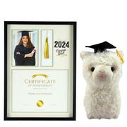 Diploma Frame & Llama Plush Graduation Gift Kit