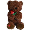 Valentine's Day Brown Bear Red Rose Plush, 14in