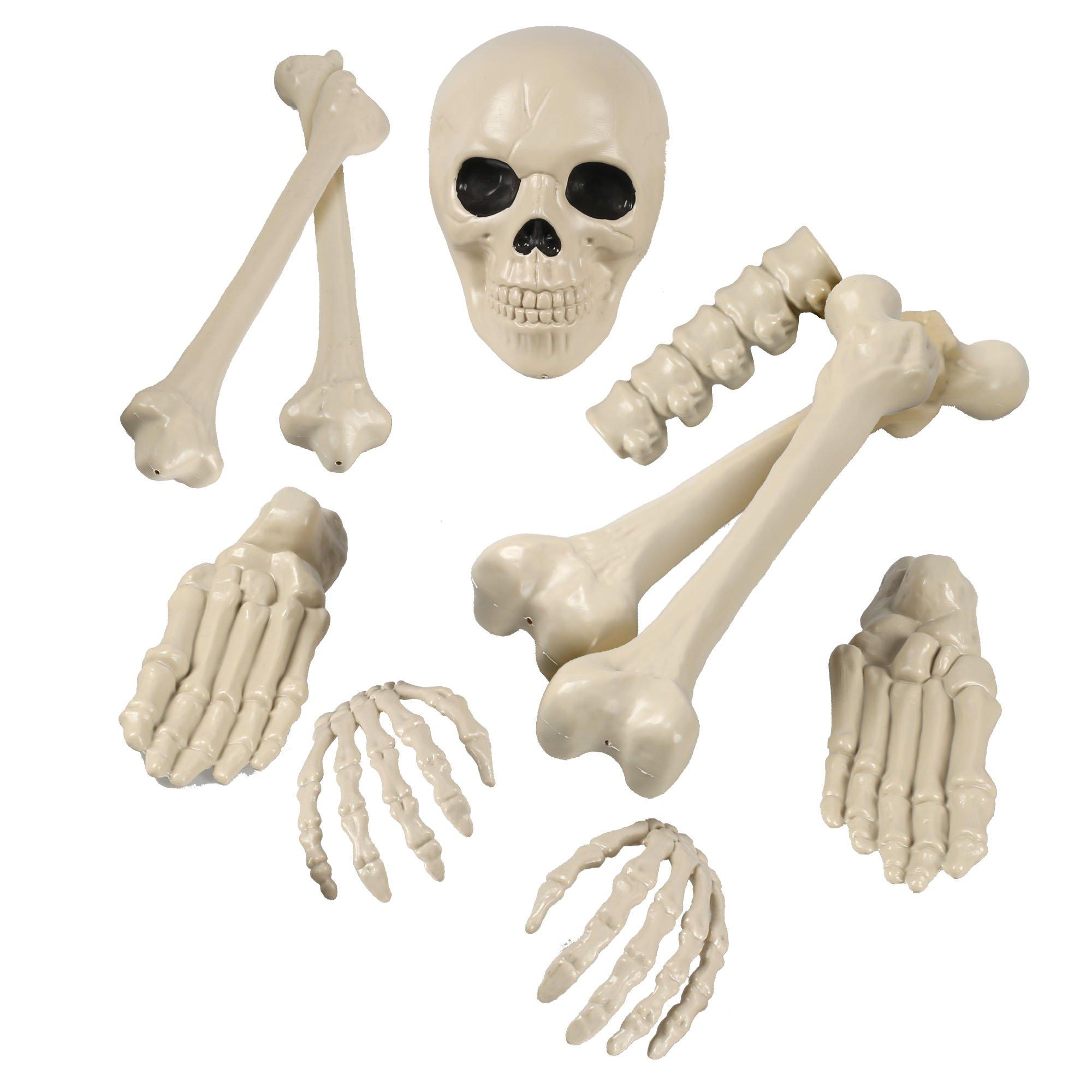 Bag of Plastic Bones, 10ct